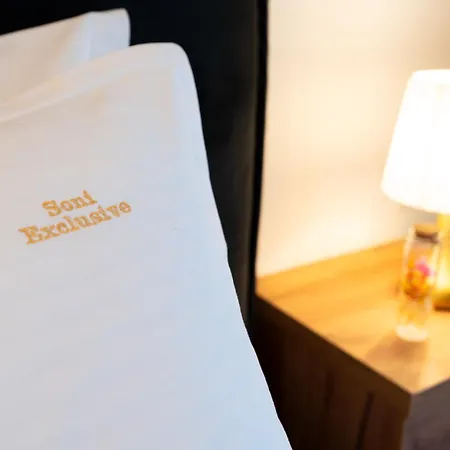 Soni Exclusive 749 Plaza With Free Private Parking & Self Check-in