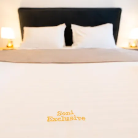 Soni Exclusive 749 Plaza With Free Private Parking & Self Check-in *