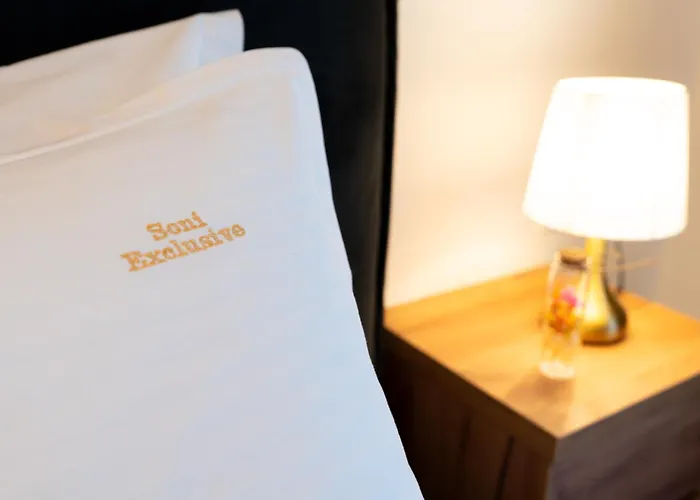 Soni Exclusive 749 Plaza With Free Private Parking & Self Check-in