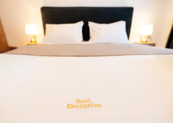 Soni Exclusive 749 Plaza With Free Private Parking & Self Check-in *